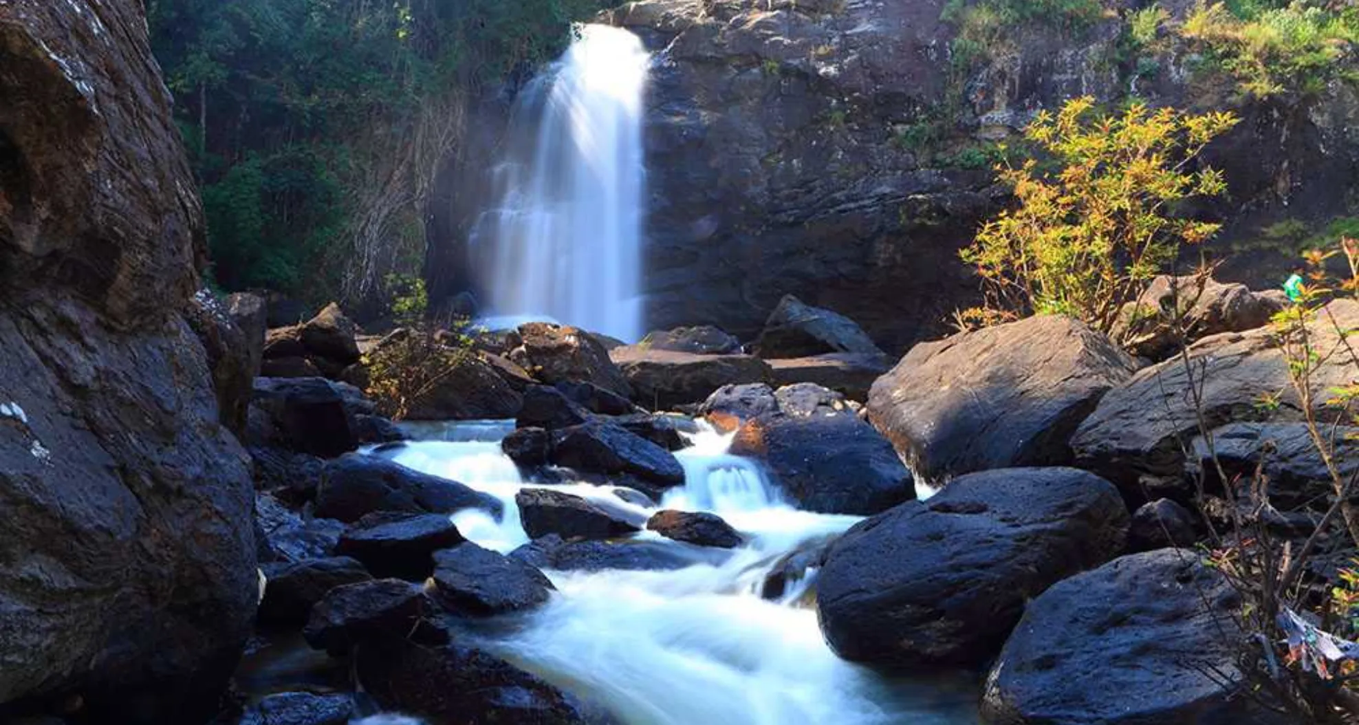 Soochipara Waterfalls (Distance: 58.4 km from Wayanad One Homestay):
